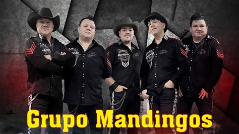 mandingos exitos romanticos|grupo mandingo cumbias.